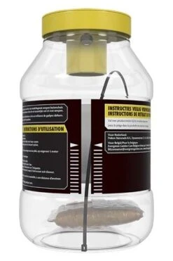 KB Wespenval Met Lokstof 1 Stuk -Planten Verkoop kb wespenval met lokstof 1 stuk 333x500 61d6fc7642555 l