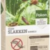 Pokon Bio Tegen Slakken Korrels 900gr 2 Pokon Bio Tegen Slakken Korrels 900gr -Planten Verkoop pokon bio tegen slakken korrels 900gr 1614005871 l