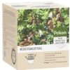 Pokon Buxusmotval -Planten Verkoop pokon buxusmotval 1614005875 l