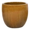 Portly Egg Rib Honey - Ø 50 X H 45 Cm 2 Portly Egg Rib Honey - Ø 50 X H 45 Cm -Planten Verkoop portly egg rib honey 50 x h 45 cm 1000x989 6267c607436f9 l