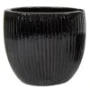Portly Egg Rib Shiny Black - Ø 37 X H 34 Cm -Planten Verkoop portly egg rib shiny black 37 x h 34 cm 1000x981 6267c609b2a34 l