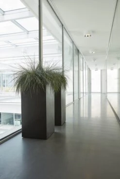 Pot Rechthoek Zwart - 35 X 35 X 78 Cm -Planten Verkoop pot rechthoek 35x35x78 zwart 667x1000 620e6ff2129ea l