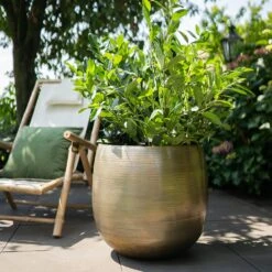 Pot Rowen Gold D38 H35 -Planten Verkoop pot rowen gold d38 h35 1000x1000 6427f744443a5 l