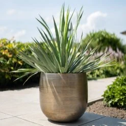 Pot Rowen Gold D38 H35 -Planten Verkoop pot rowen gold d38 h35 1000x1000 6427f744cce69 l