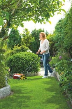 WOLF-Garten Kooimaaier 38CM TT380DL -Planten Verkoop wolf garten kooimaaier 38cm tt380dl 1619177771 2 l