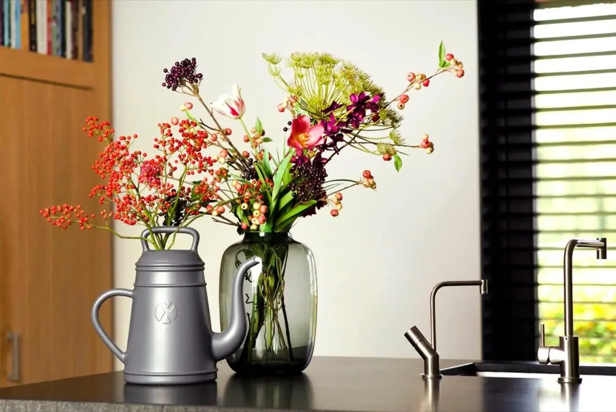 Planten Verkoop -Planten Verkoop X110024 capi xala lungo 12 liter leigrijs tuingigant 03