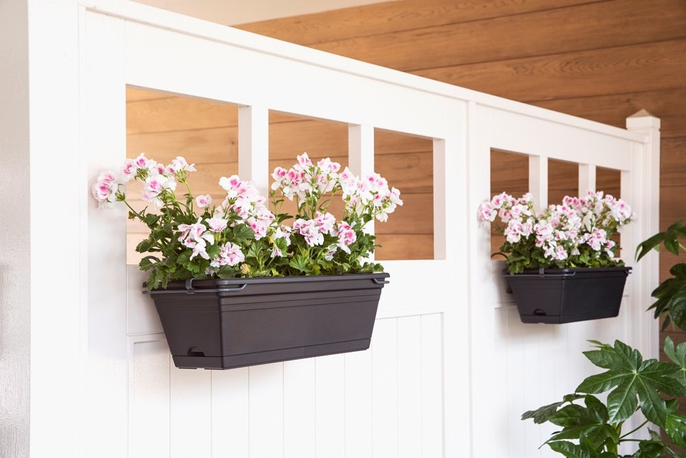 Planten Verkoop -Planten Verkoop balkonbak chill trough set intense black 50 x 19 5 x 20 cm 1000x667 624c293f530ac l